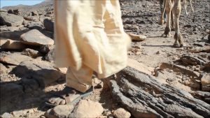 In Tibesti mit Kamel unterwegs