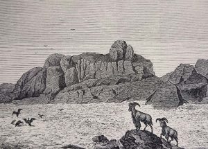 The Tibesti Mountains, Gustav Nachtigal, Sahara and Sudan, rock formation, Gour, Explore Chad